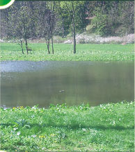 foto1