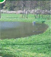 foto1